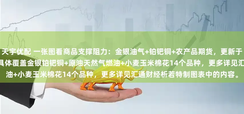 天宇优配 一张图看商品支撑阻力：金银油气+铂钯铜+农产品期货，更新于2025年5月23日周五13:15，具体覆盖金银铂钯铜+原油天然气燃油+小麦玉米棉花14个品种，更多详见汇通财经析若特制图表中的内容。
