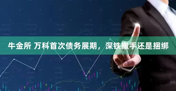 牛金所 万科首次债务展期，深铁撒手还是捆绑