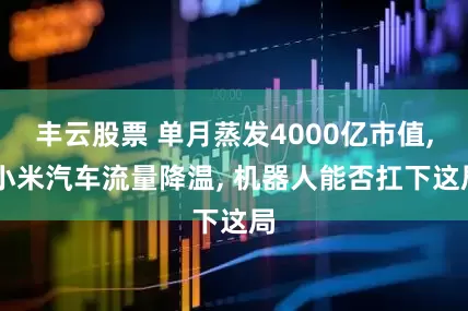 丰云股票 单月蒸发4000亿市值, 小米汽车流量降温, 机器人能否扛下这局